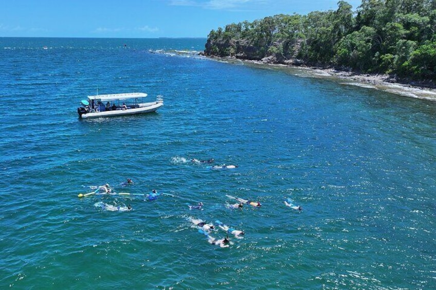 Social Snorkel