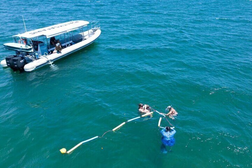Social Snorkel 