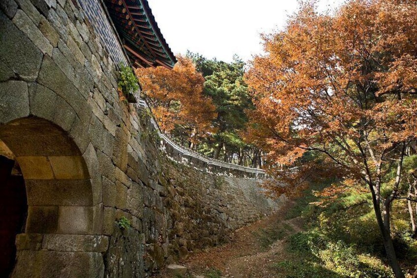 UNESCO World Heritage Sites Private Tour-Gyeonggido, Korea