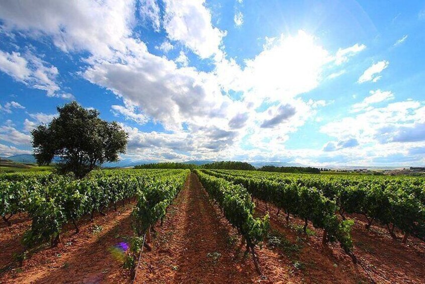 Wineries Martinez Alesanco
