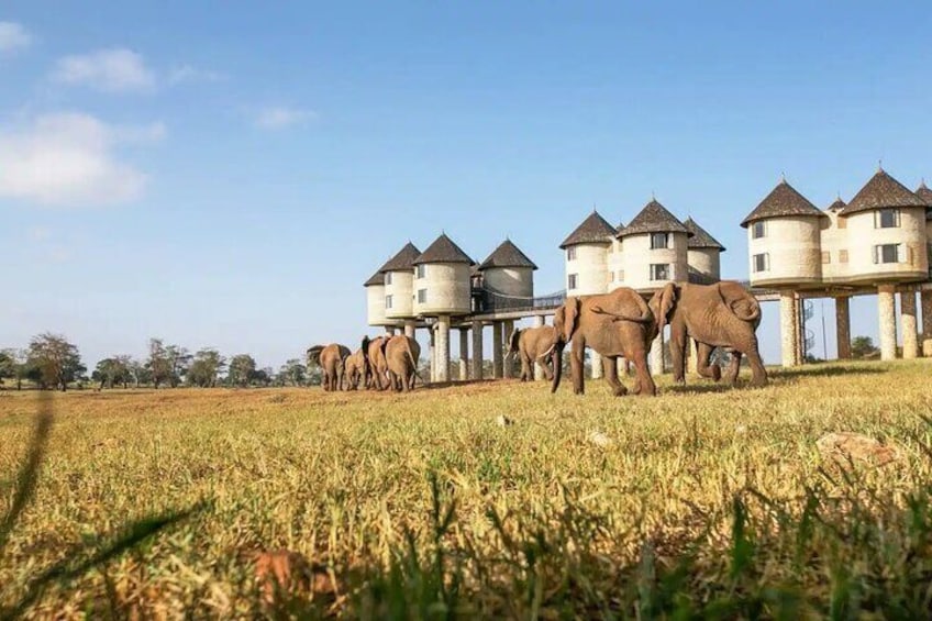 Private 2 Day Tsavo East National Park Safari From Mombasa