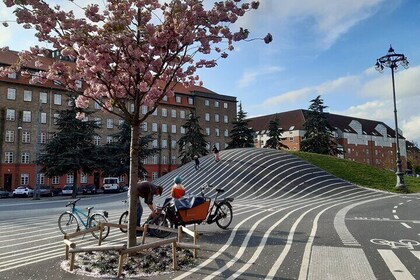 Cool Nørrebro and Foodie Tips Self Guided Audio Walking Tour