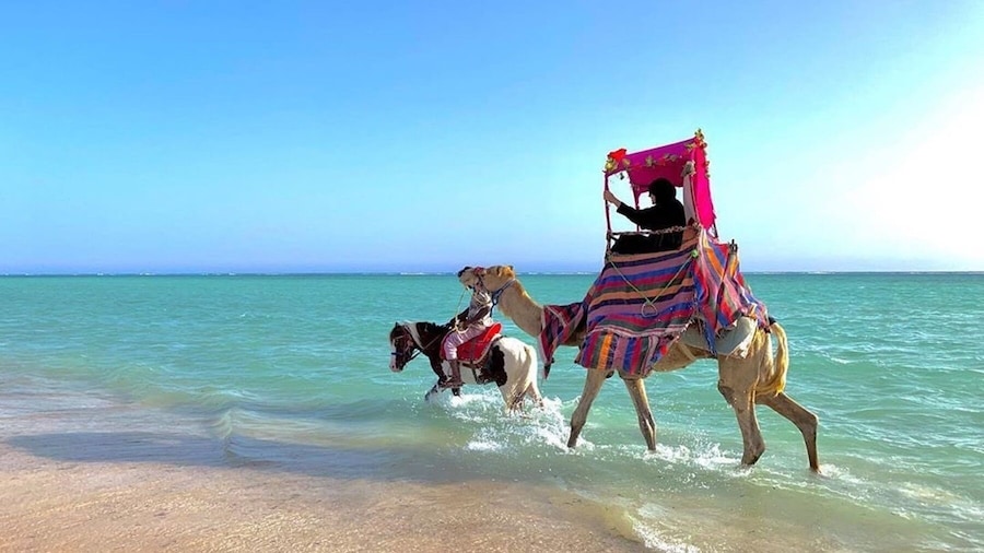 Full Day Obhur & Beach from Jeddah