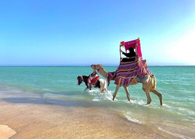 Full Day Obhur & Beach from Jeddah