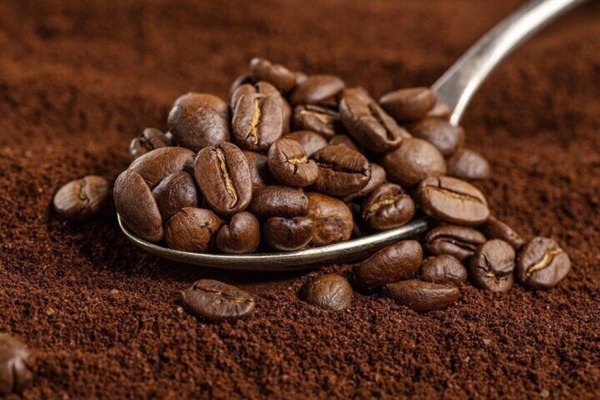 Coffee, Chocolate and Sugarcane Tour La Fortuna
