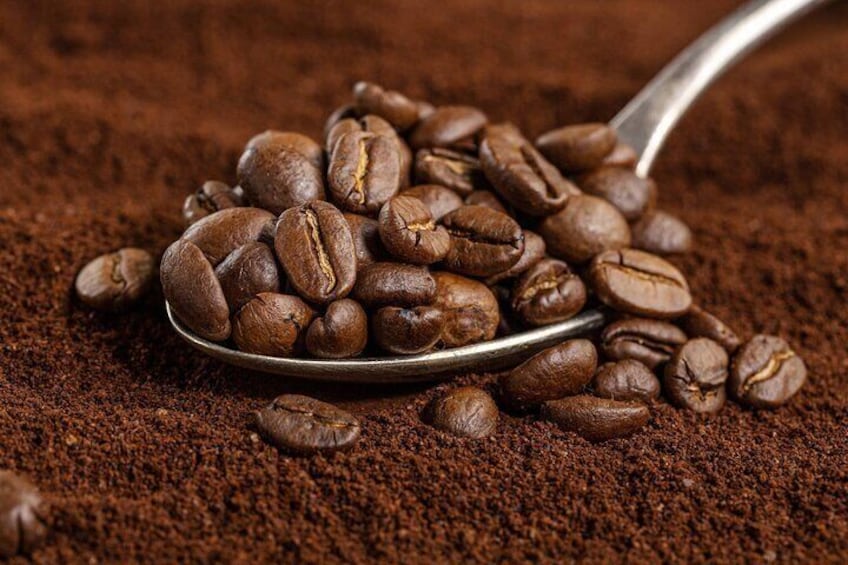 Coffee, Chocolate and Sugarcane Tour La Fortuna