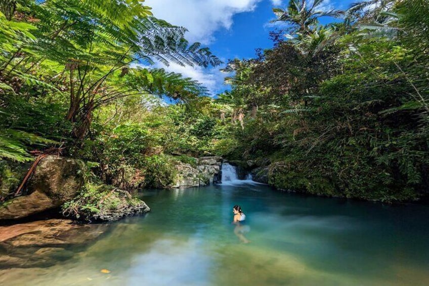 Tranquility Forest Swim in the Mountains