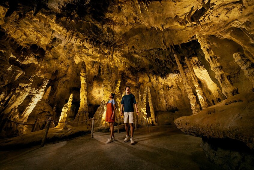 Singapore: Rainforest Wild Asia Park in Mandai