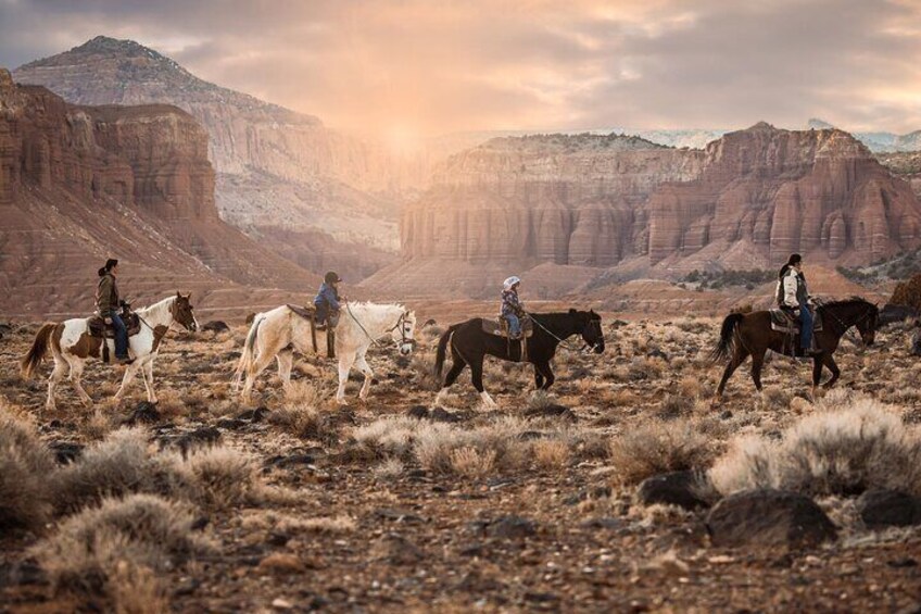 1-Hour Western Horse Ride
