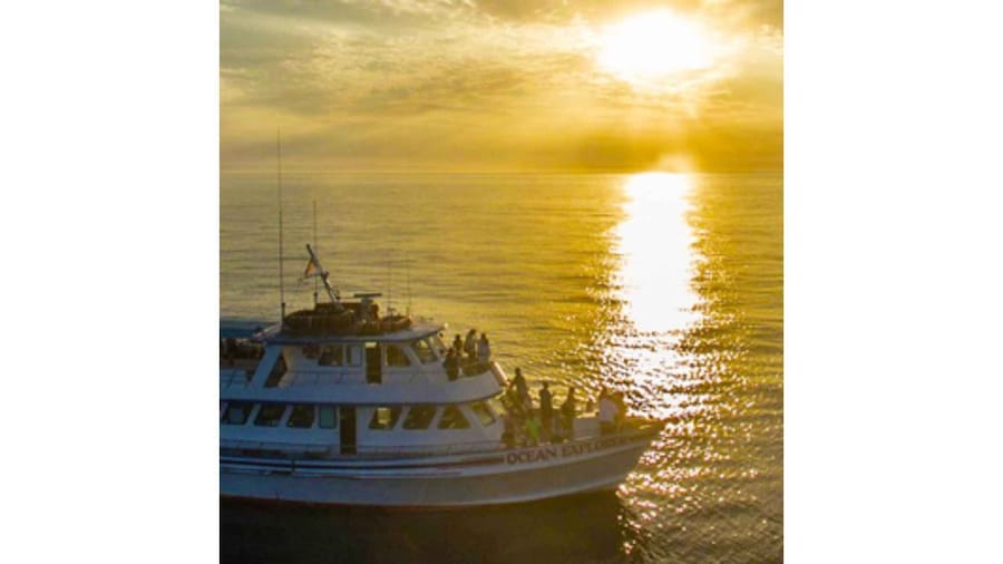 Picture 4 for Activity Relaxing Sunset Cruise in Newport Beach