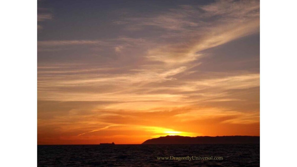 Picture 3 for Activity Relaxing Sunset Cruise in Newport Beach