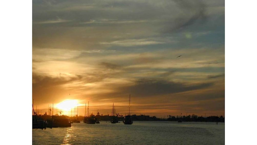 Picture 11 for Activity Relaxing Sunset Cruise in Newport Beach