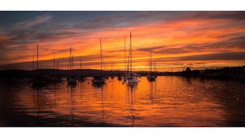 Relaxing Sunset Cruise in Newport Beach