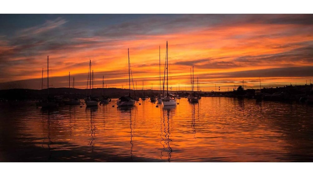 Relaxing Sunset Cruise in Newport Beach