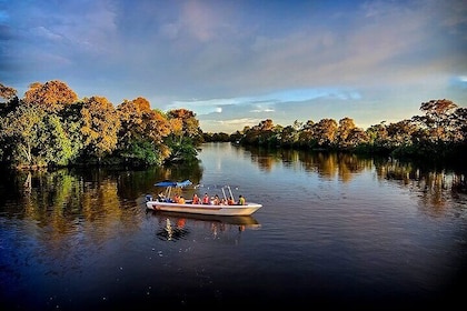 Klias Mangrove Wildlife and Fireflies