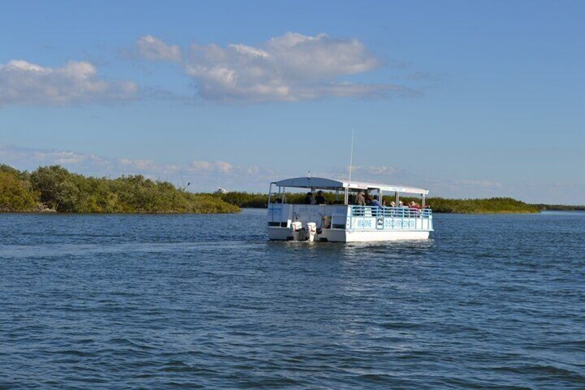 Discovery Dolphin Boat Tour