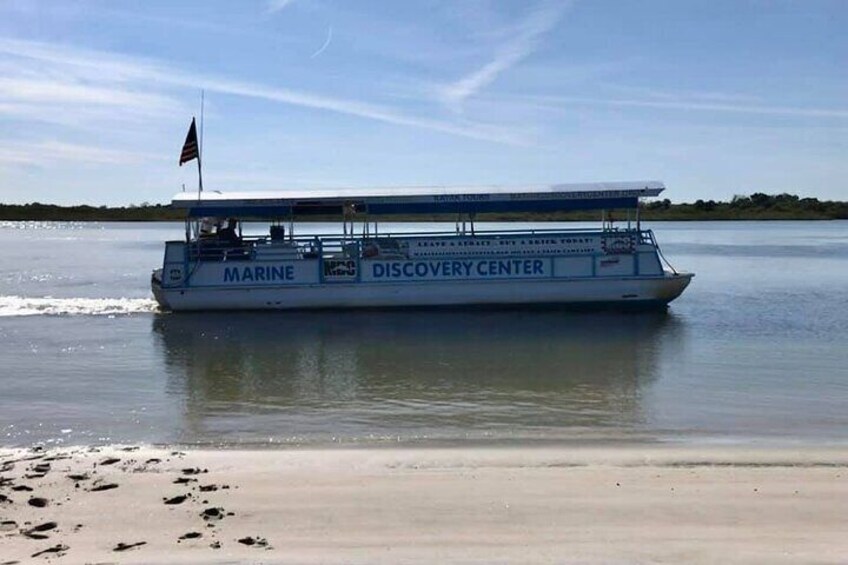 Discovery Dolphin Boat Tour