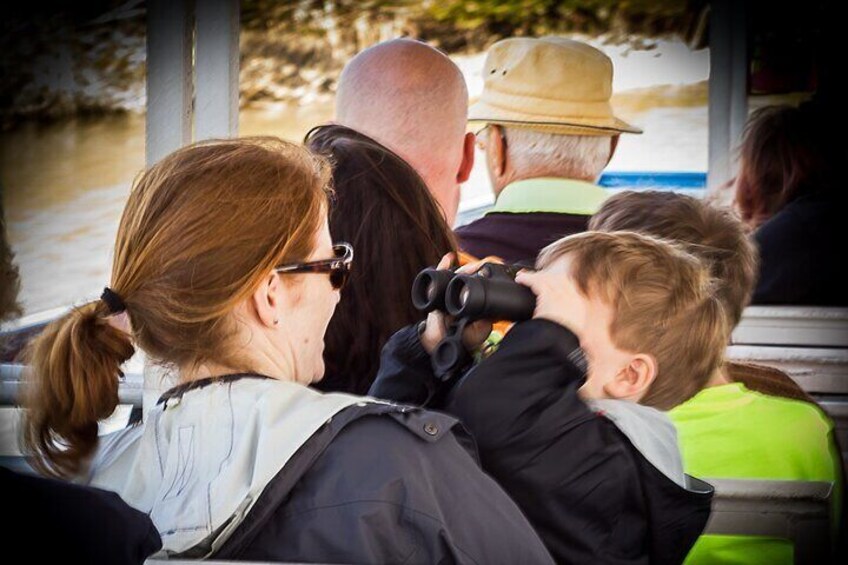 Discovery Dolphin Boat Tour
