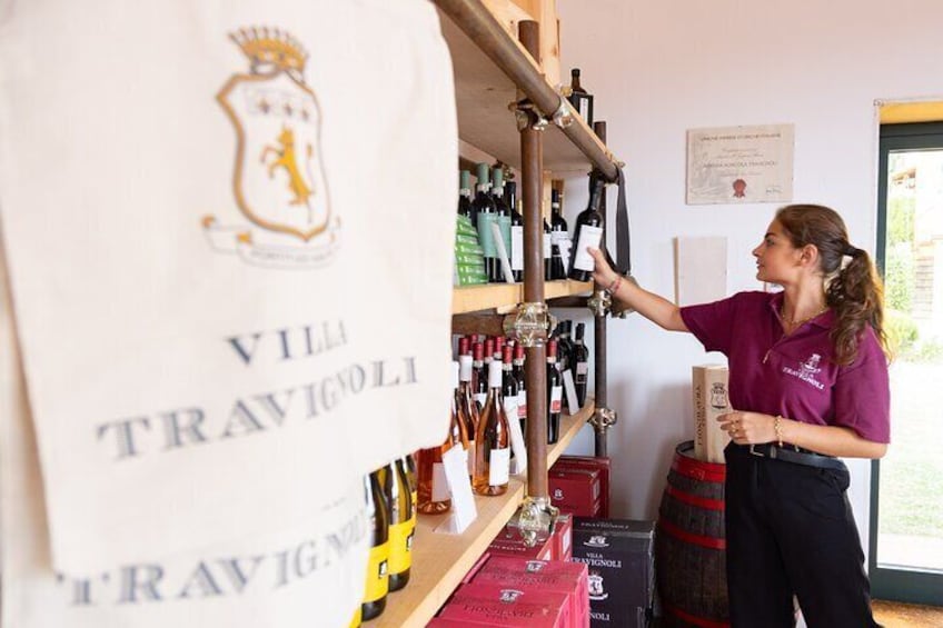 Special Villa Travignoli Wine Tasting and Lunch Experience