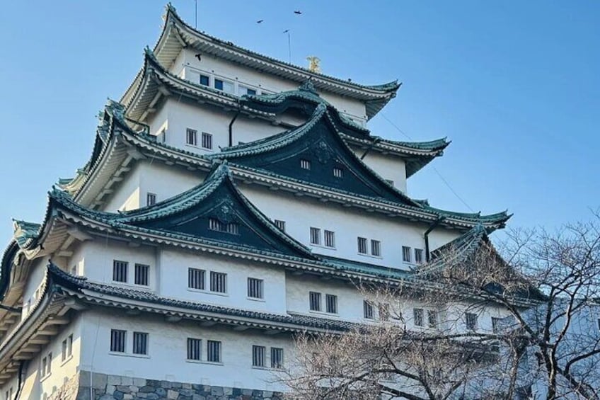 Nagoya City Cherry Blossom Private Sightseeing Tour 