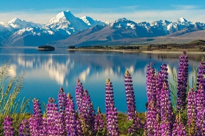 Lake Tekapo, the most picturesque destinations, located in the heart of the South Island. Known for its vibrant turquoise waters, stunning alpine scenery, popular spot for nature lovers and adventurer