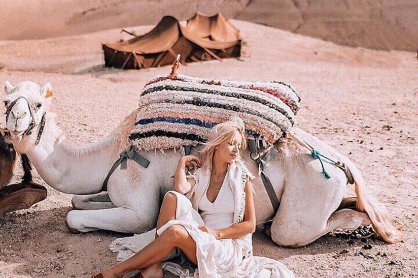Agafay Desert Quad & Camel Rides with Dinner Show