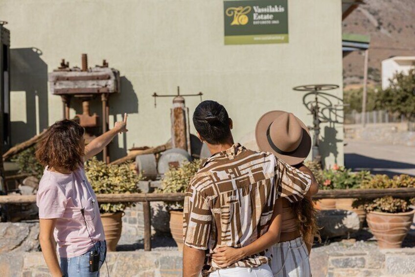 Olive Oil Tasting & Olive Mill Tour