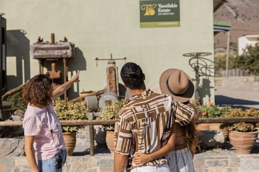 Olive Oil Tasting & Olive Mill Tour