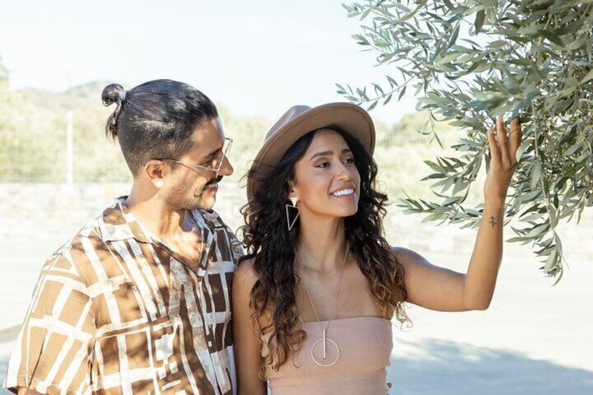 Olive Oil Tasting & Olive Mill Tour