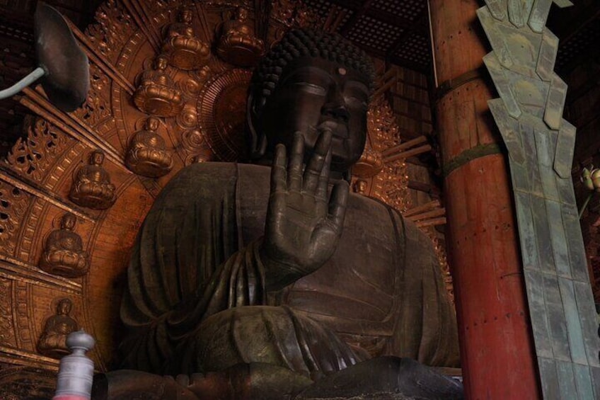 Nara Early Bird Tour (Osaka Departure Option)