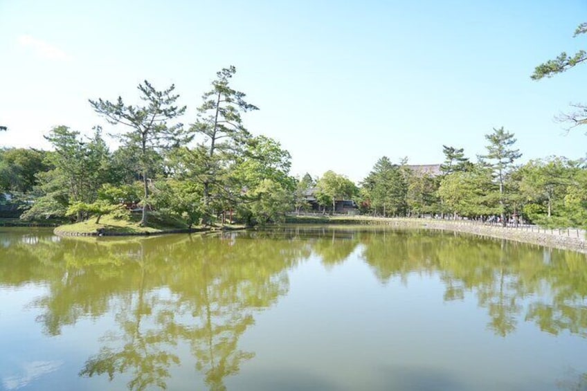 Nara Early Bird Tour (Osaka Departure Option)