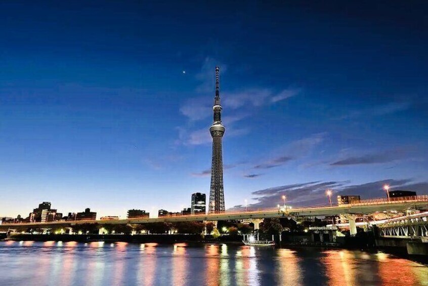 Tokyo City Private Tour with English Driver 