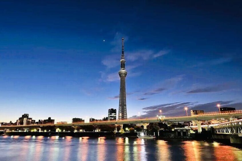 Tokyo City Private Tour with English Driver