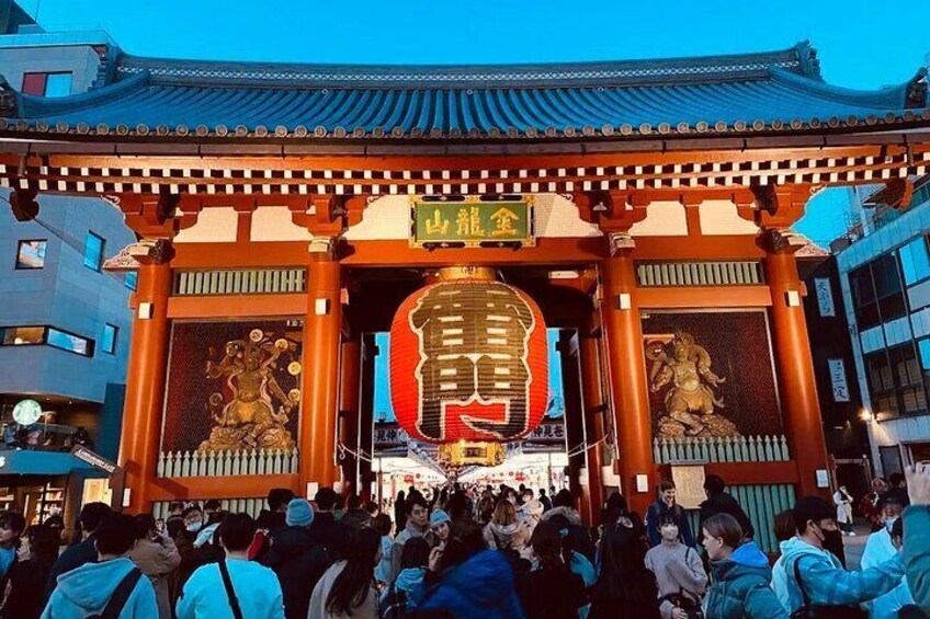 Tokyo City Private Tour with English Driver 