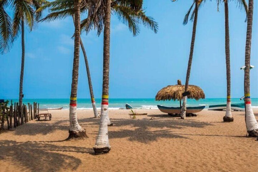 Palomino tour from Santa Marta