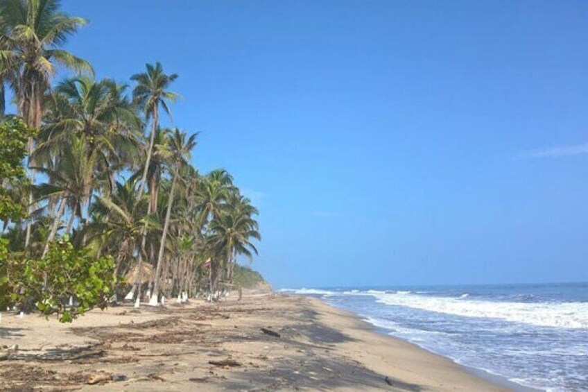 organized trip to Palomino from Santa Marta