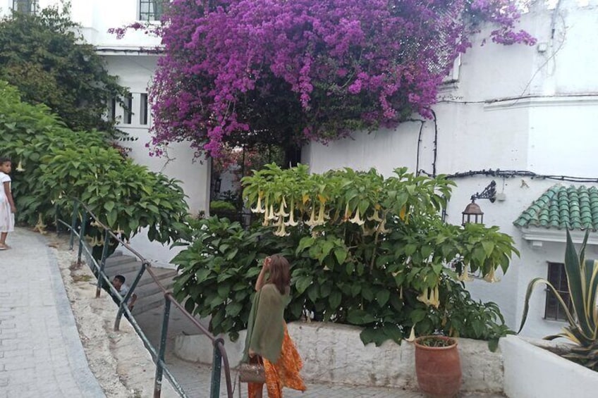 Tangier Walking Tour: Medina & khasba & Markets 3H