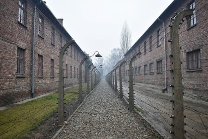 Krakow Auschwitz Birkenau Day Trip with Tour Leader