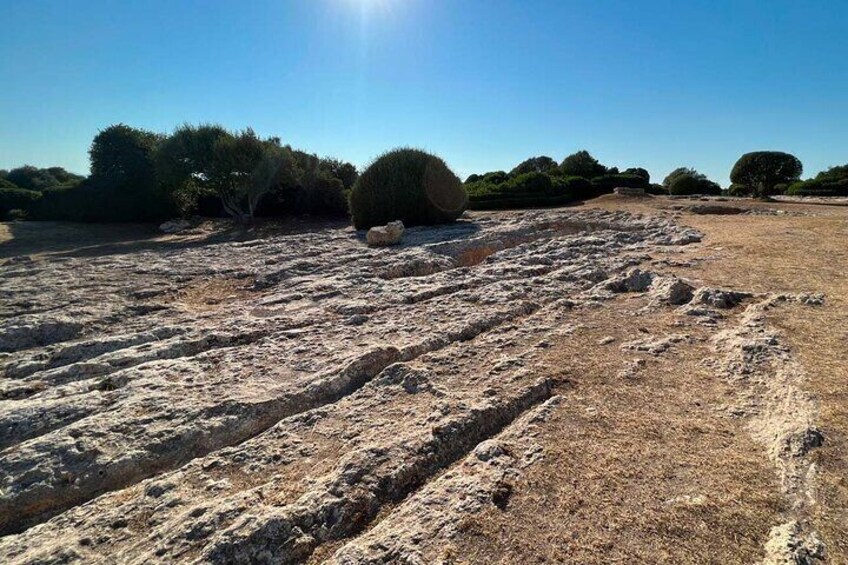 Porto Torres: Monte d'Accoddi and Su Crucifissu Mannu tour