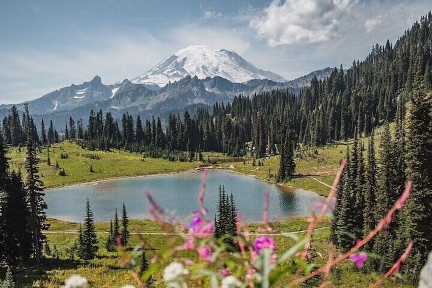 From Portland to Mt. Rainier Tour in a Small Group