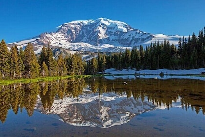 From Portland to Mt. Rainier Tour in a Small Group