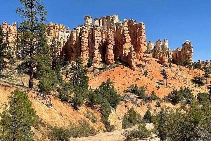 Small Group Day Tour To Explore Bryce Canyon & Zion National Park