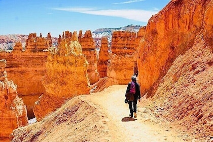 Small Group Day Tour To Explore Bryce Canyon & Zion National Park