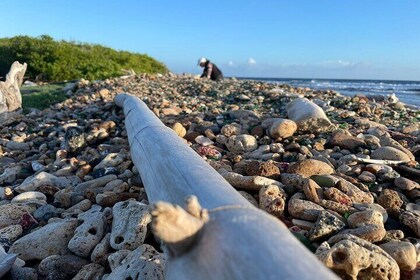 Private Sea Glass Island Kayak Tour Morning Adventure