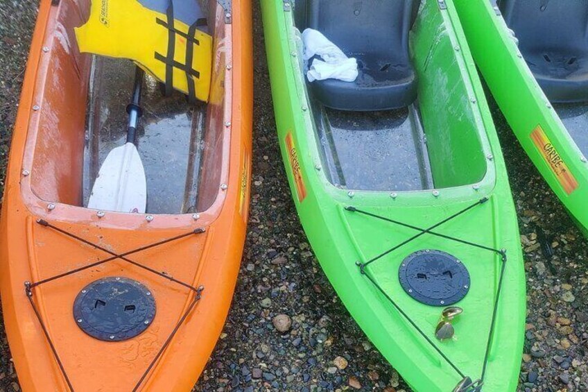 Private Sea Glass Island Kayak Tour Morning Adventure