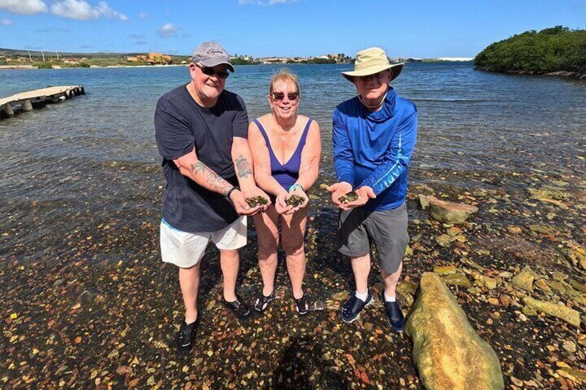 Private Sea Glass Island Kayak Tour Morning Adventure