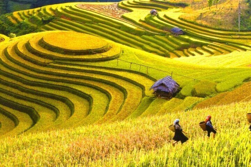 Exploring Mai Chau full day group tour