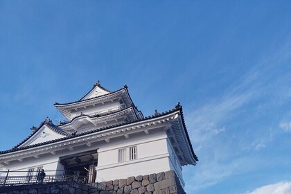 Odawara Castle Discovery of the Sengoku Samurai History