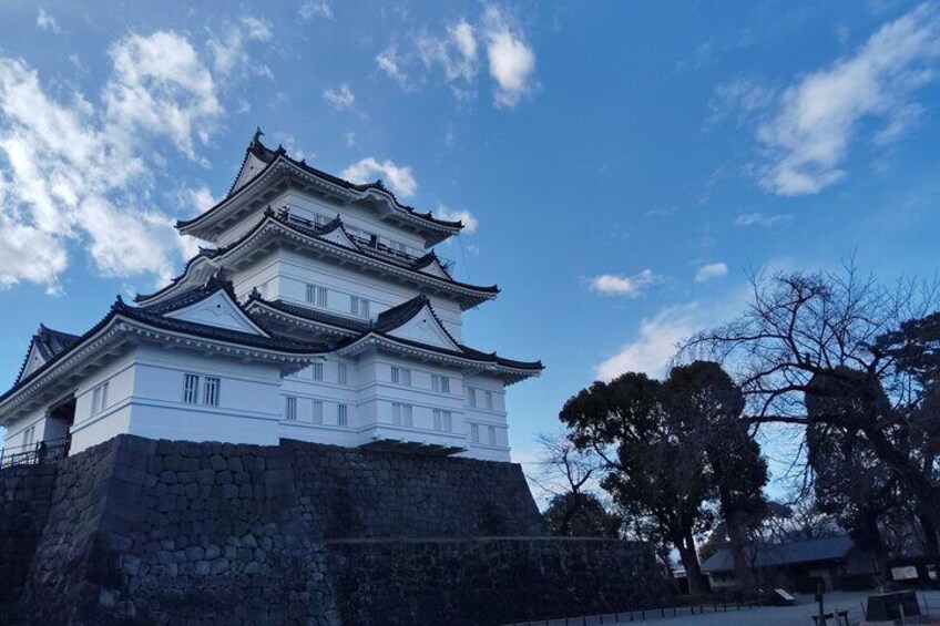 Odawara Castle Discovery of the Sengoku Samurai History