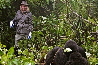 14 Days Uganda Rwanda Primate Tour